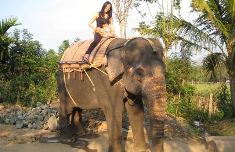 Southern India In Depth: 18-Day Ethnic and Cultural Adventure