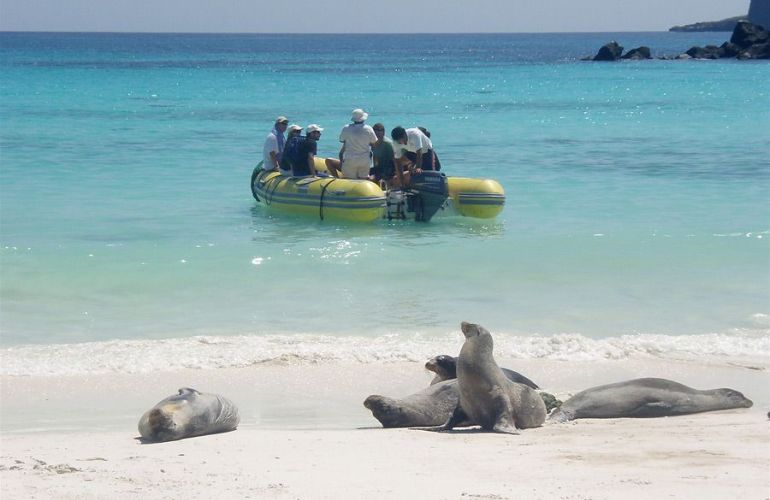 Galápagos Islands Sailing and Multi-Sport Adventure