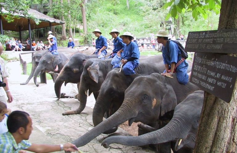 Explore the Beauty of Thailand, Laos, Vietnam & Cambodia in this 34 Day Adventure
