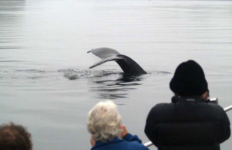 Sail to Haida Gwaii and Queen Charlotte Islands - Island Odyssey 8 Days