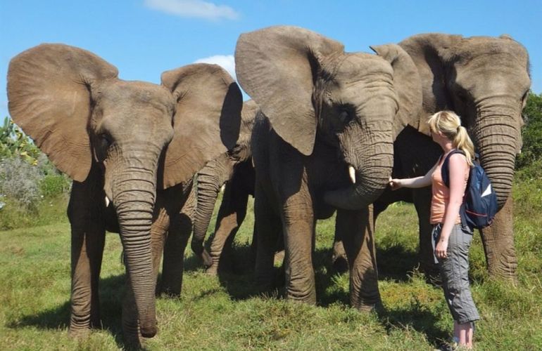 Search out and photograph diverse wildlife in Tarangire Safari Experience