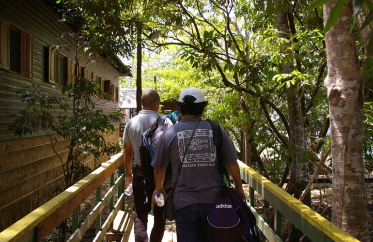 Brazil: 10-Day Cultural Experience
