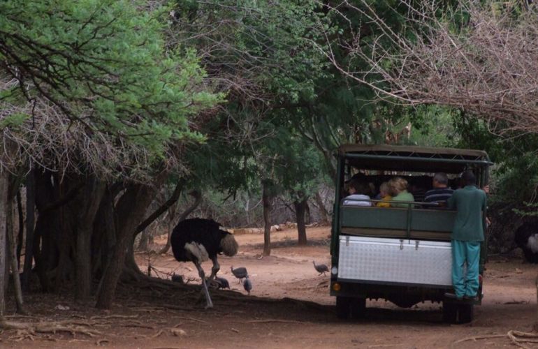 Essence of South Africa - 14 Day Tour