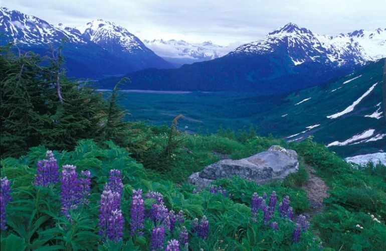 Alaska Family | Kenai Peninsula