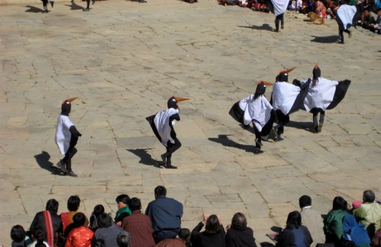 Black-Necked Crane Festival