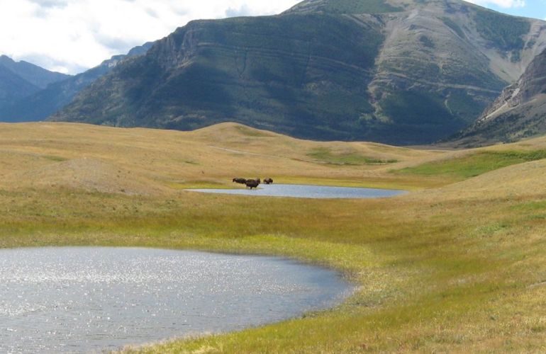 Glacier National Park Bike Tour