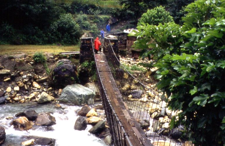 Annapurna Mountains & Wildlife