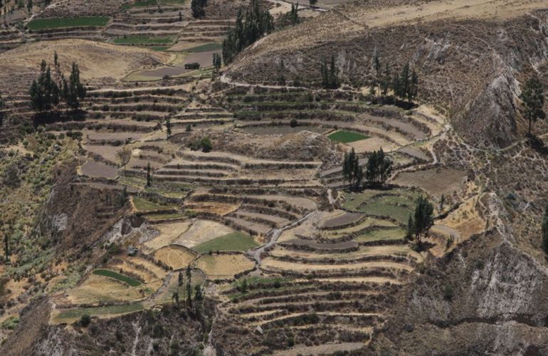 South America: 21-Day Andean Discovery