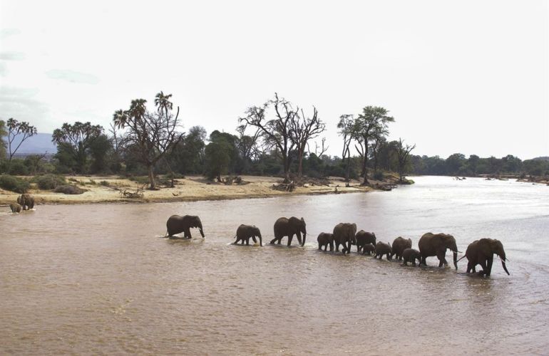 The Hemingway Wing Safari: 14 Days Exploring the Old Africa in Style