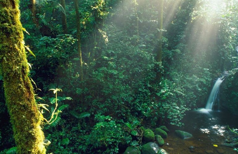 32 Days Central American Journey from Playa del Carmen to San Jose