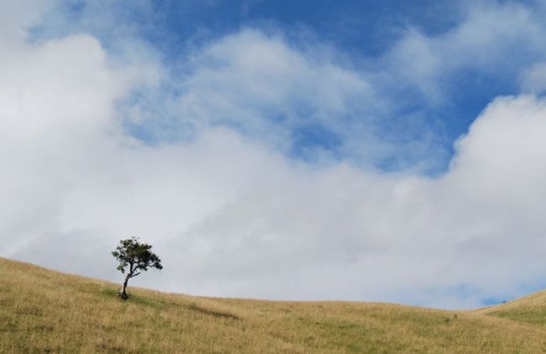Ecuador: The Highlands