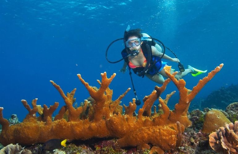 32 Days Central American Journey from Playa del Carmen to San Jose