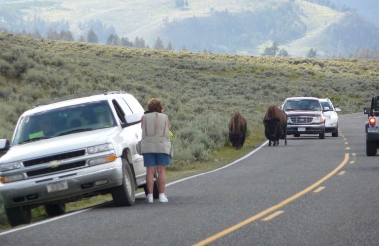 Yellowstone National Park