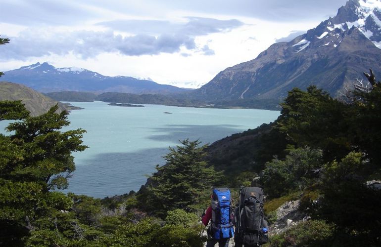 The Patagonia: The Mountain Splendor of Paine and Fitzroy and the Whales of Peninsula Valdés