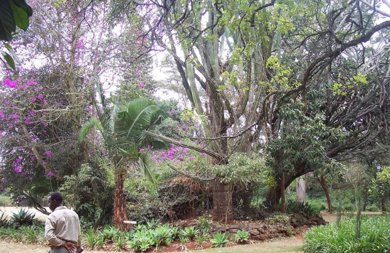 Grand Safari - 15 Day Tour