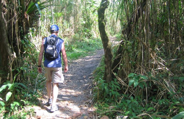 Arenal Rainforest to Manuel Antonio Family Adventure