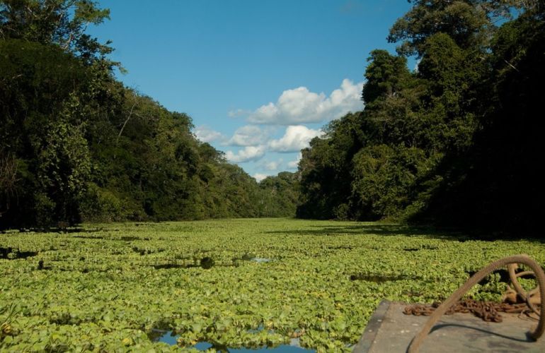 Amazon Riverboat Adventure: 9-Day River Cruise & Wildlife Adventure