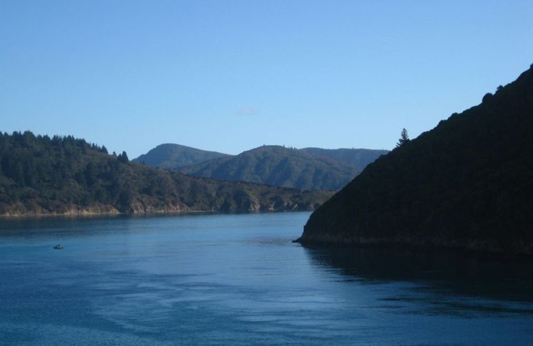 South Island Adventure in New Zealand: A Hiker’s Dream Journey in Nature’s Wonderland