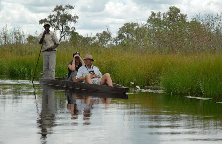 Explore the Landscapes and Wildlife of Botswana Elephant Trail