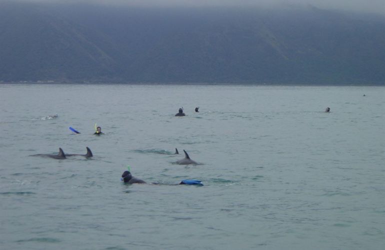 South Island Adventure in New Zealand: A Hiker’s Dream Journey in Nature’s Wonderland