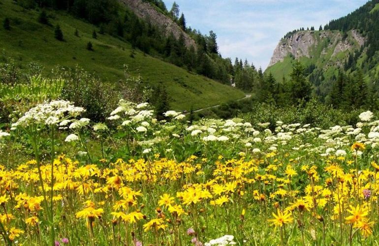 Mont Blanc Classic Walks