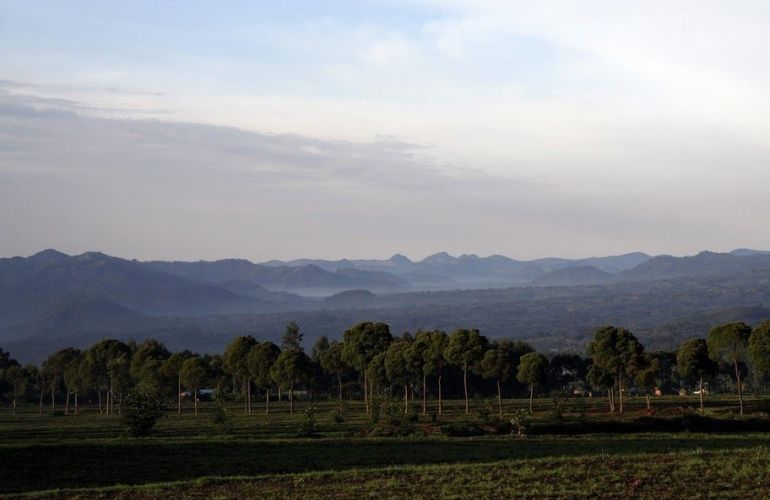 8 Day - Gorillas in the Virungas and Bwindi 