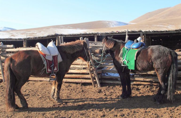 Heights, Deserts and Plateau from Kathmandu to Ulaanbaatar Adventure