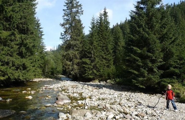 Poland - Tatras Family Explorer