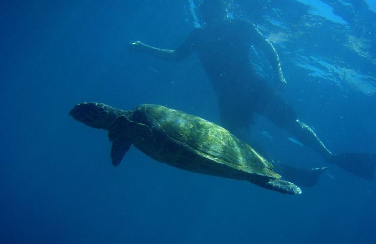 Galápagos Islands Sailing and Multi-Sport Adventure
