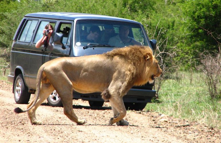 Southern African Circuit: 32-Day Cultural & Wildlife Adventure