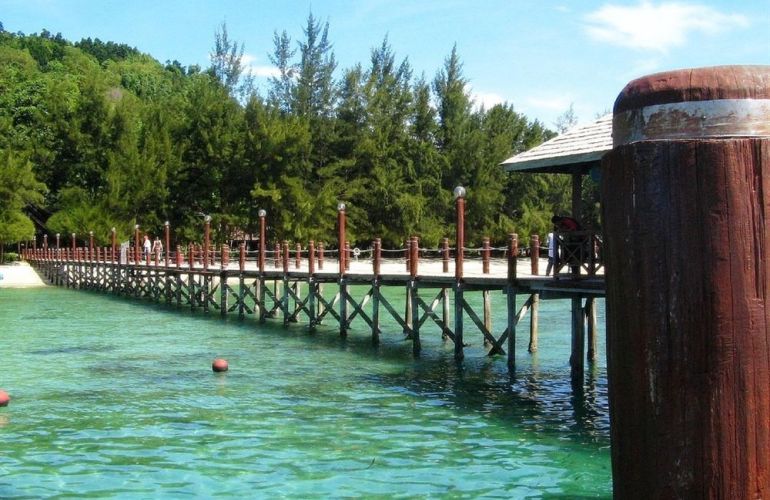 Borneo - Into the Heart of the Rainforest