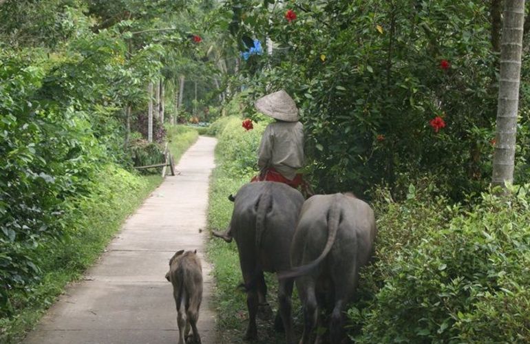 Meandering the Mekong Delta: 4-Day Biking Adventure in Vietnam