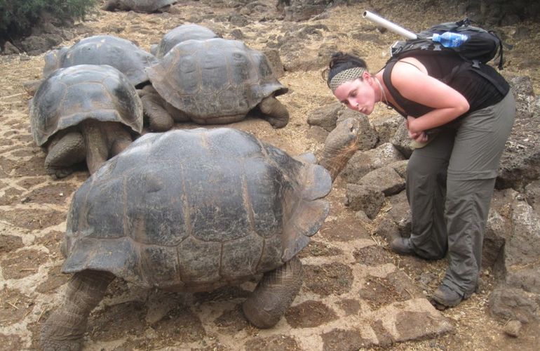 Ecuador's Galapagos Islands (Ecological wonderlands of the Galapagos Islands) - Tour Length: 8 Days