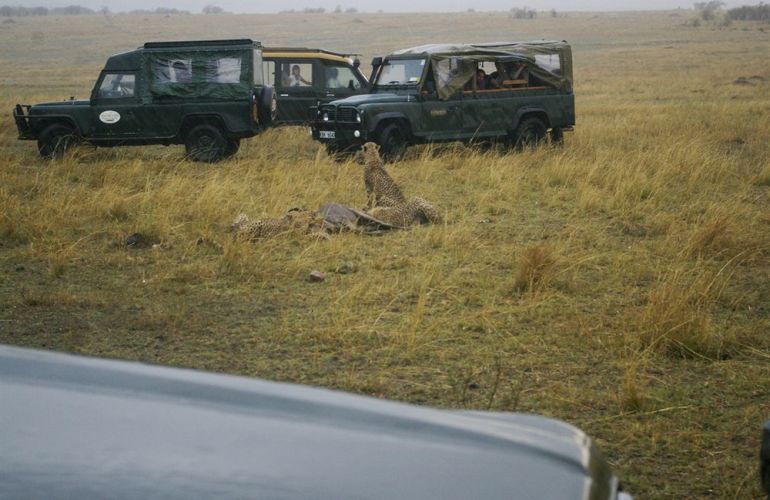 32-Day Wildlife & Cultural Experience in Rwanda, Uganda, Kenya & Tanzania