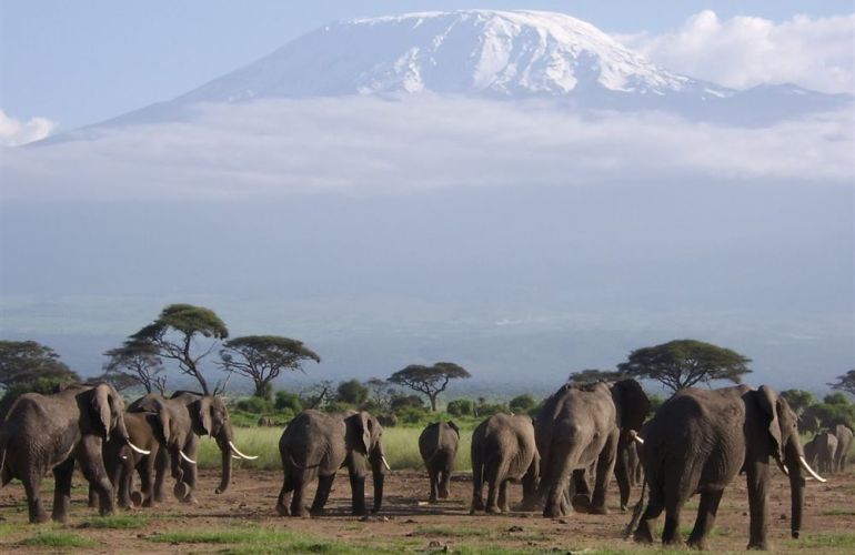 Mt Kilimanjaro - Marangu Route Trek