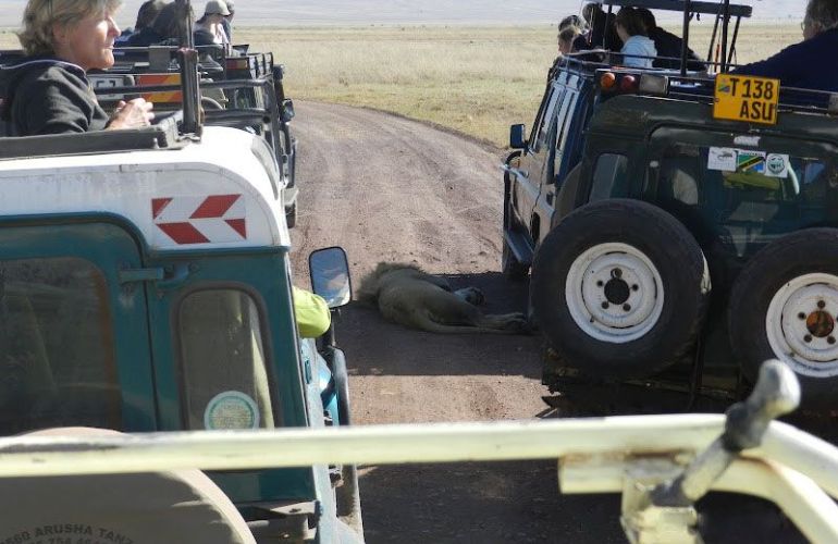 The Hemingway Wing Safari: 14 Days Exploring the Old Africa in Style