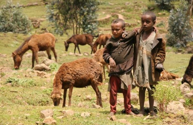 Ethiopian Odyssey
