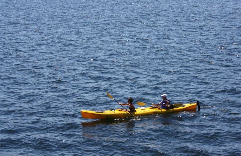 ActiVino! Paddle & Wine