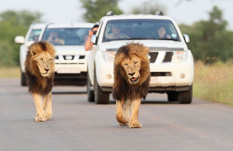 Volunteer and Wildlife Adventure in Zambia Community & Safari