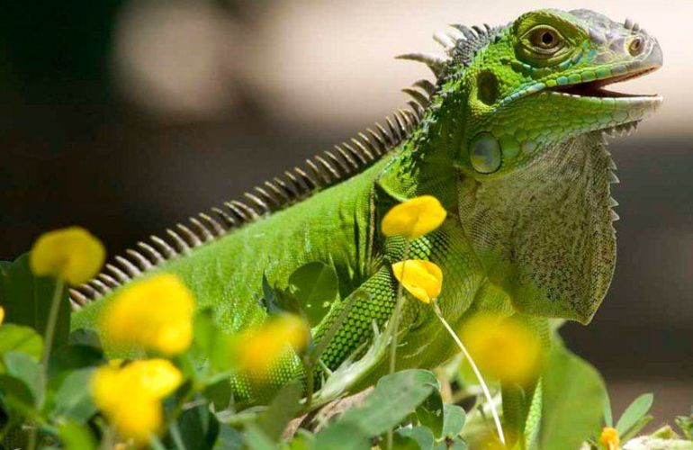 Best of Costa Rica