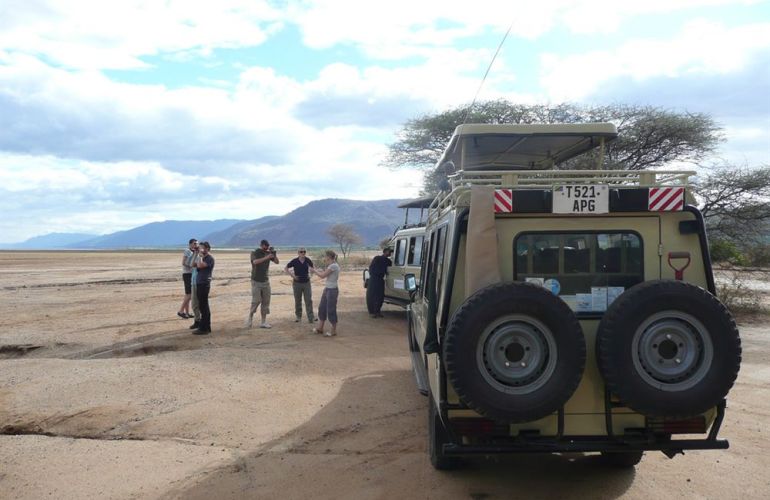 Serengeti: The Ultimate Safari Experience