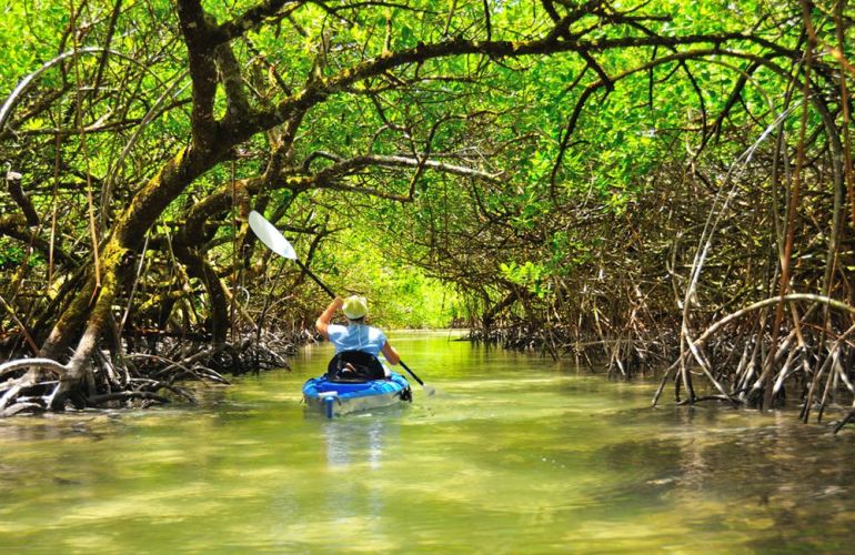 Palau Snorkeling and Sea Kayaking: Experience the Natural History Paradise of the Rock Islands