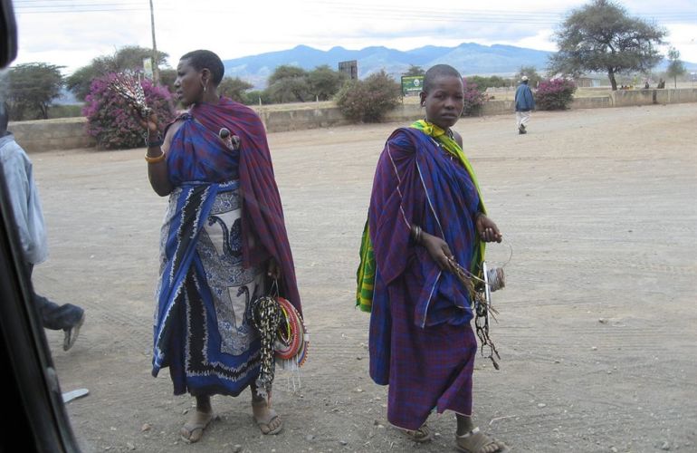 Serengeti: The Ultimate Safari Experience