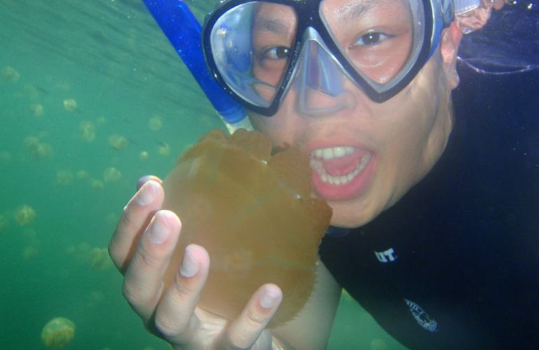 Palau Snorkeling and Sea Kayaking: Experience the Natural History Paradise of the Rock Islands