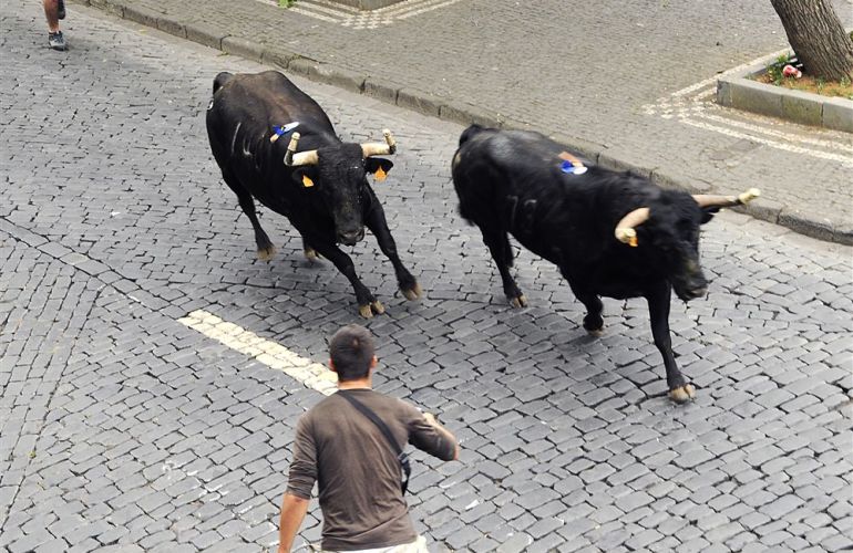 Adventure from Barcelo to Bilbao Highlights an Experience with Running of the Bulls