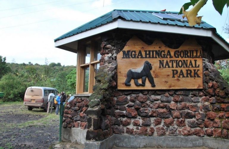 6 Day Gorillas in PNV and Culture in Mgahinga