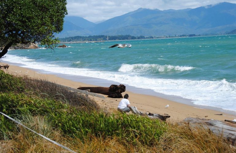South Island Adventure in New Zealand: A Hiker’s Dream Journey in Nature’s Wonderland
