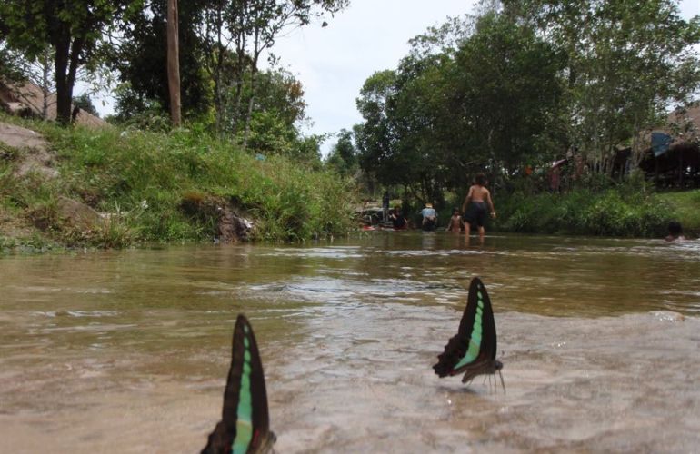 Roam Cambodia & Vietnam