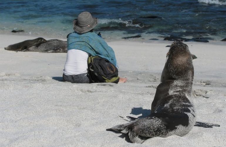 Ecuador's Galapagos Islands (Ecological wonderlands of the Galapagos Islands) - Tour Length: 8 Days