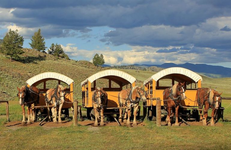 Yellowstone National Park